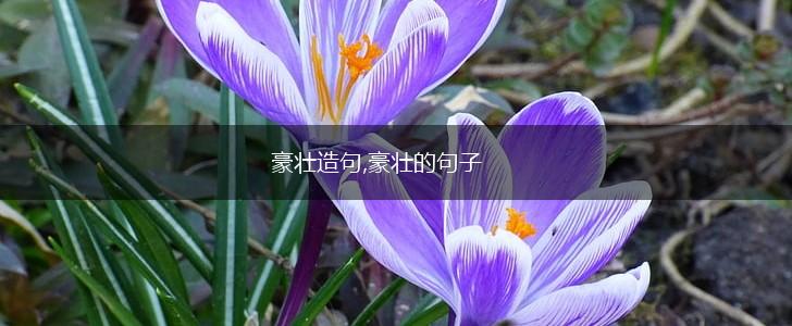 豪壮造句,豪壮的句子,第1张