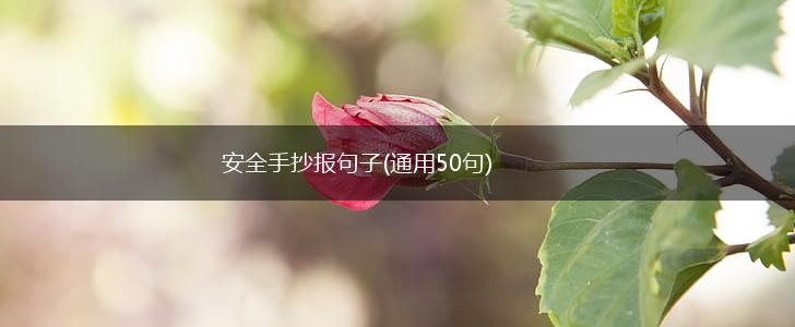 安全手抄报句子(通用50句),第1张
