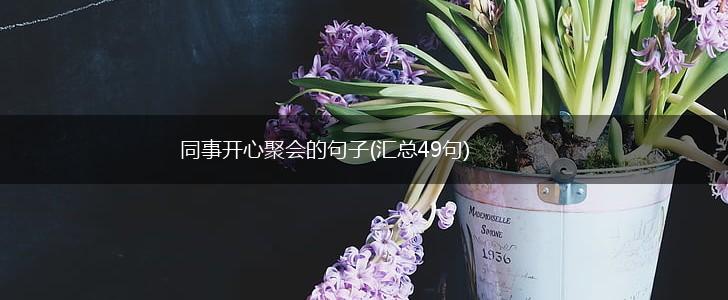 同事开心聚会的句子(汇总49句),第1张