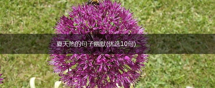 夏天热的句子幽默(优选10句),第1张