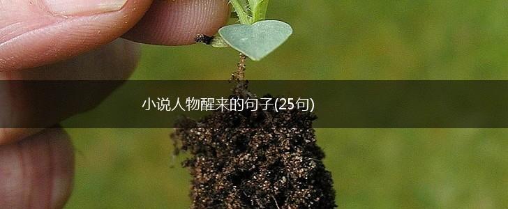 小说人物醒来的句子(25句),第1张
