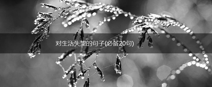 对生活失望的句子(必备20句),第1张