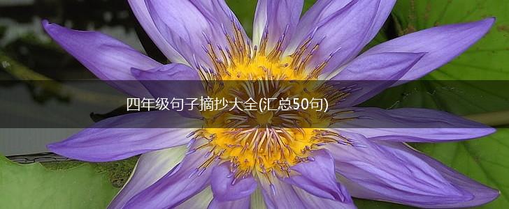 四年级句子摘抄大全(汇总50句),第1张