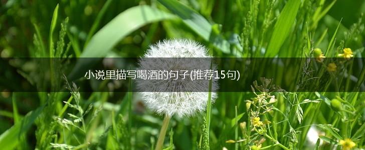 小说里描写喝酒的句子(推荐15句),第1张