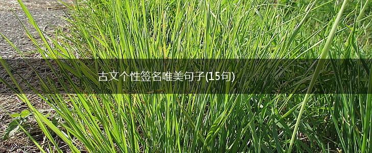 古文个性签名唯美句子(15句),第1张