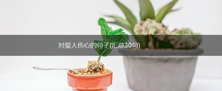 对爱人伤心的句子(汇总30句),第1张