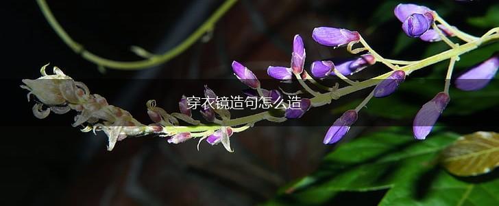 穿衣镜造句怎么造,第1张