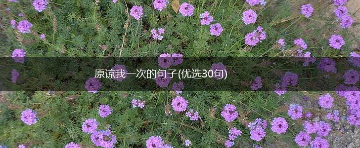 原谅我一次的句子(优选30句),第1张