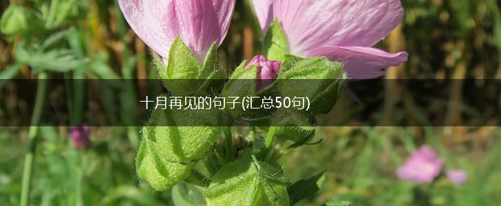十月再见的句子(汇总50句),第1张