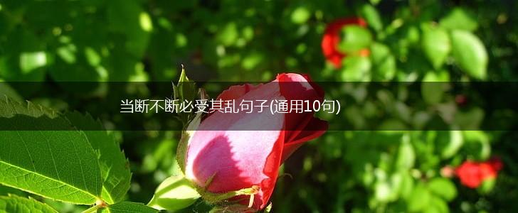 当断不断必受其乱句子(通用10句),第1张