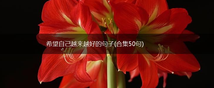 希望自己越来越好的句子(合集50句),第1张