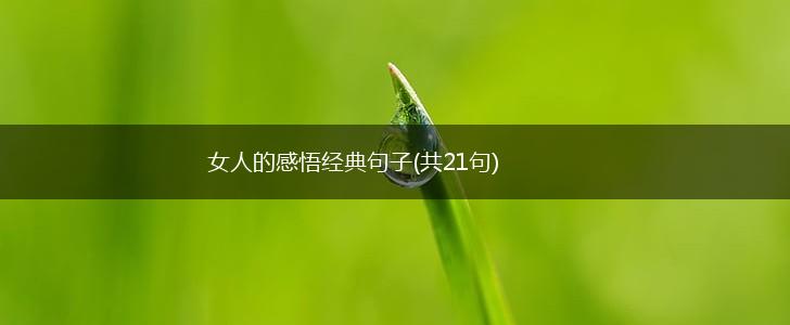 女人的感悟经典句子(共21句),第1张