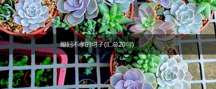 媳妇不孝的句子(汇总20句),第1张