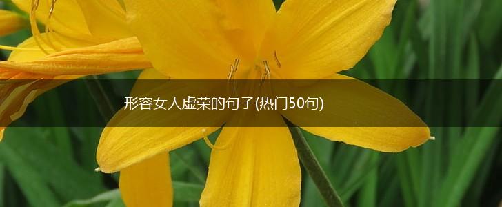 形容女人虚荣的句子(热门50句),第1张