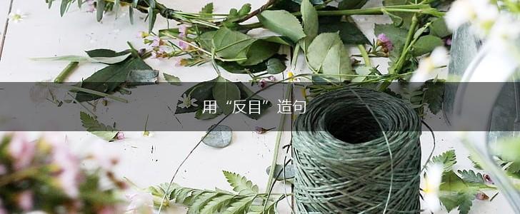 用“反目”造句,第1张