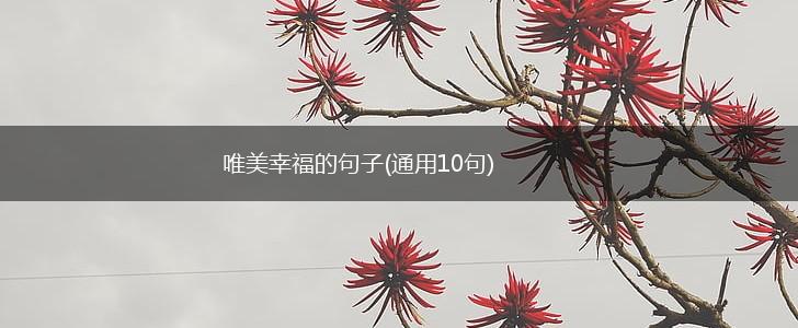 唯美幸福的句子(通用10句),第1张