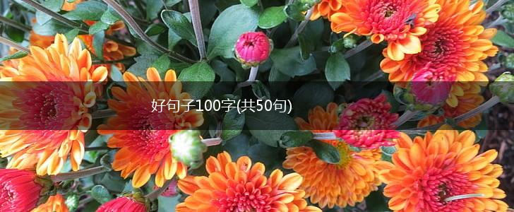 好句子100字(共50句),第1张