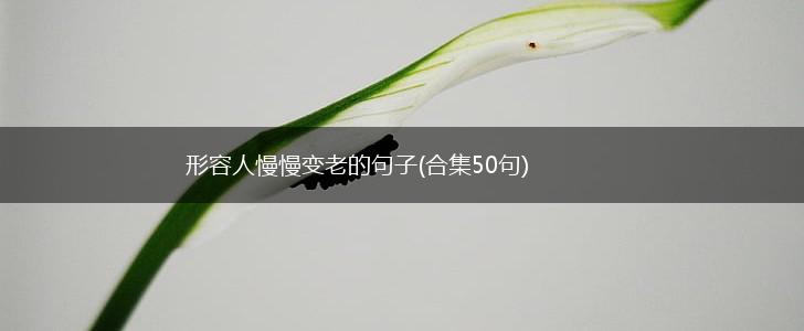 形容人慢慢变老的句子(合集50句),第1张