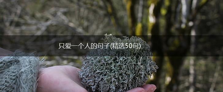 只爱一个人的句子(精选50句),第1张