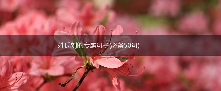 姓氏刘的专属句子(必备50句),第1张