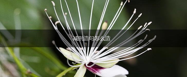 减刑造句怎么造,第1张