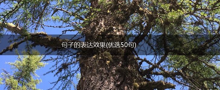 句子的表达效果(优选50句),第1张