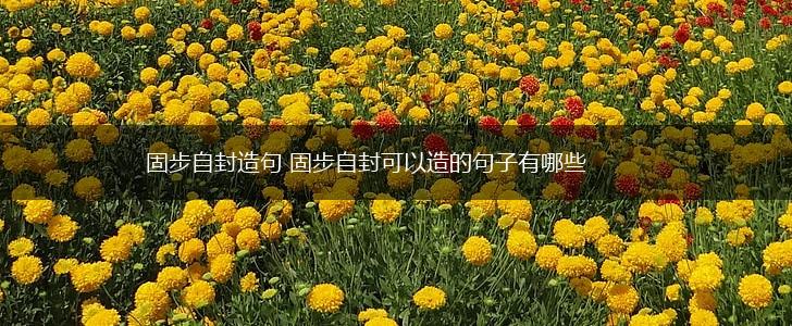 固步自封造句 固步自封可以造的句子有哪些,第1张