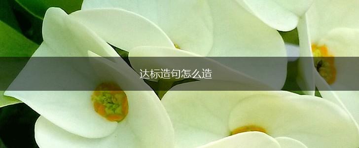 达标造句怎么造,第1张