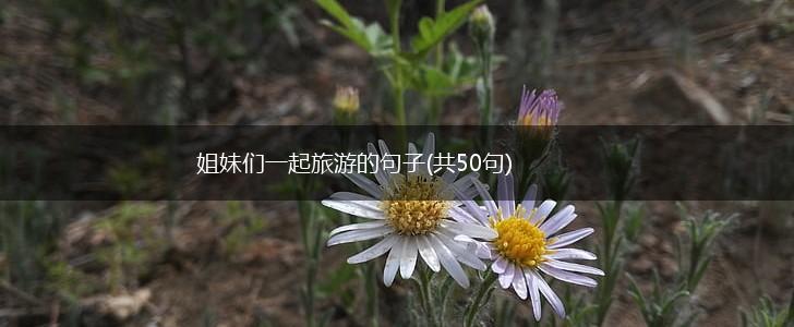 姐妹们一起旅游的句子(共50句),第1张