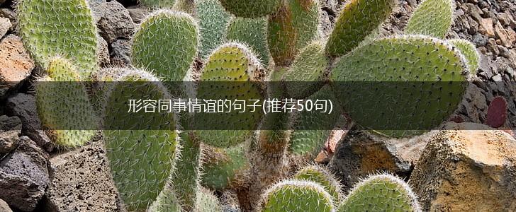 形容同事情谊的句子(推荐50句),第1张