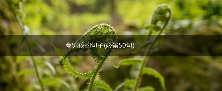 夸男孩的句子(必备50句),第1张
