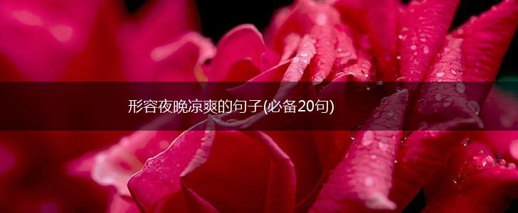形容夜晚凉爽的句子(必备20句),第1张