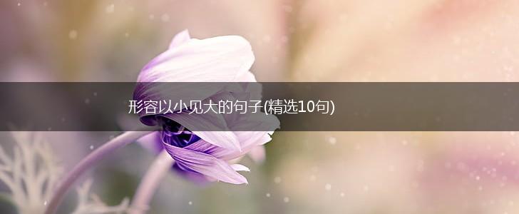 形容以小见大的句子(精选10句),第1张