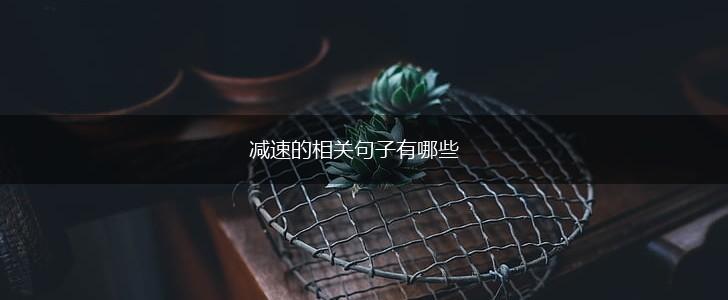 减速的相关句子有哪些,第1张