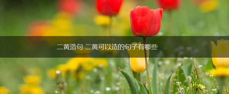 二黄造句 二黄可以造的句子有哪些,第1张