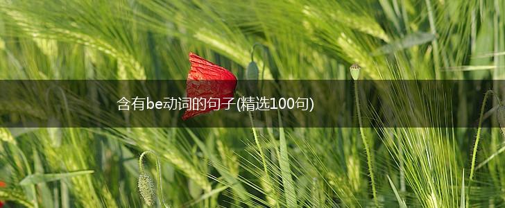 含有be动词的句子(精选100句),第1张