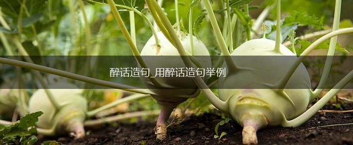 醉话造句_用醉话造句举例,第1张
