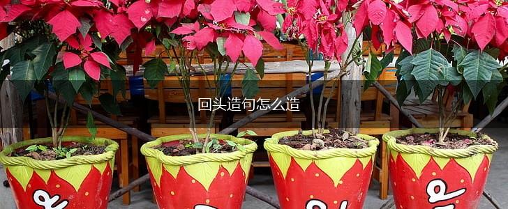 回头造句怎么造,第1张