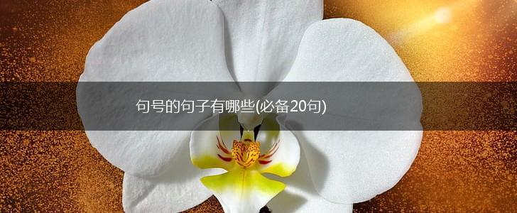 句号的句子有哪些(必备20句),第1张