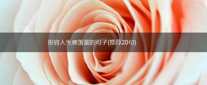 形容人失意落寞的句子(推荐20句),第1张