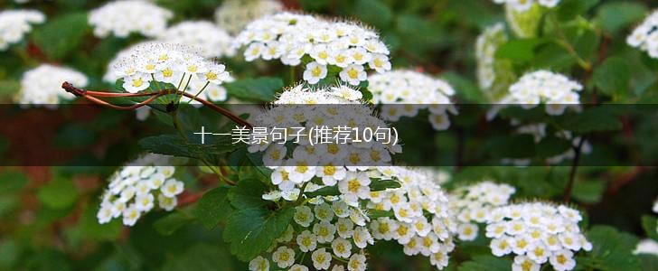 十一美景句子(推荐10句),第1张