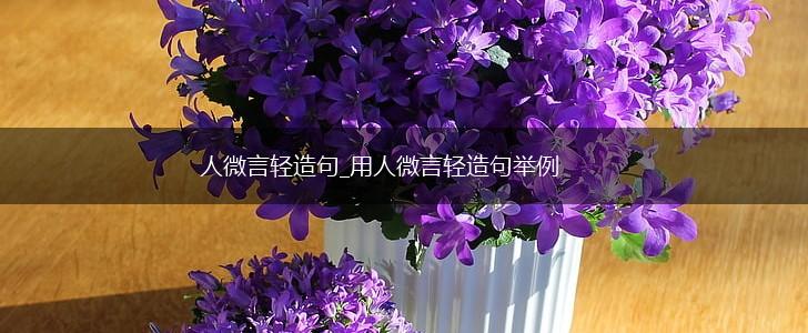 人微言轻造句_用人微言轻造句举例,第1张