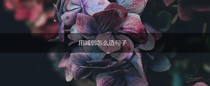 用减弱怎么造句子,第1张