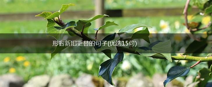 形容新旧更替的句子(优选15句),第1张