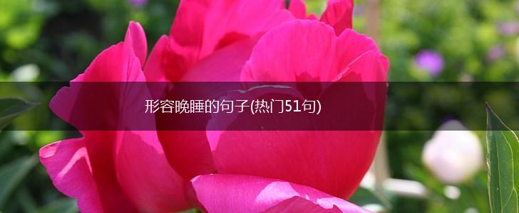 形容晚睡的句子(热门51句),第1张