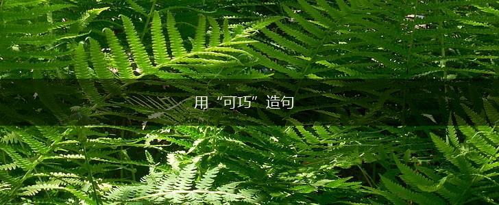 用“可巧”造句,第1张
