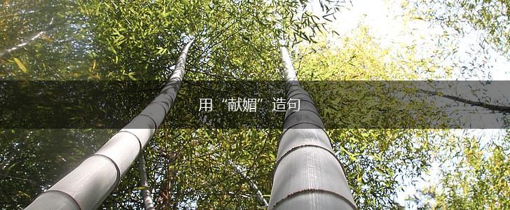 用“献媚”造句,第1张