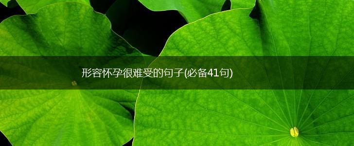 形容怀孕很难受的句子(必备41句),第1张