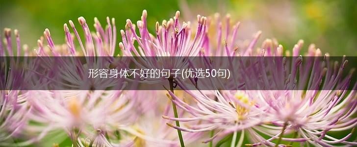 形容身体不好的句子(优选50句),第1张