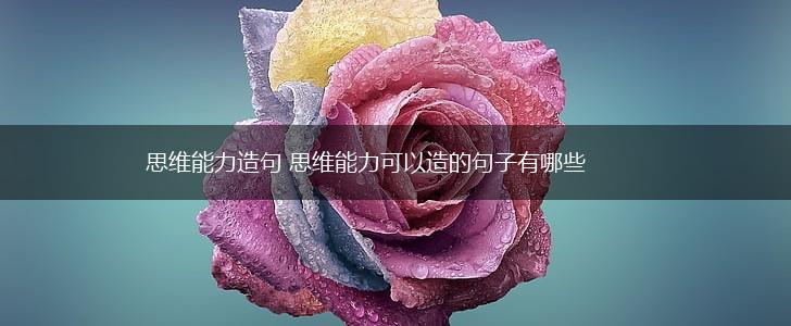 思维能力造句 思维能力可以造的句子有哪些,第1张